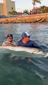 How’s that for a first! First-time tarpon angler Dylan Diaz was fishing with veteran guide @captain_tyler_kapela when he hooked a tarpon estimated at over 200 pounds off of Tampa Bay, Florida. . . #saltwatersportsman #saltwaterfishing #angler #fishing #fishingphotography #saltwatersportsmanmagazine #travel #fishingboats #tightlines #instafish #tarpon #silverking #tarponseason2022 #florida #bigtarpon | Salt Water Sportsman