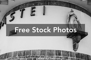 german%20redwoodforest