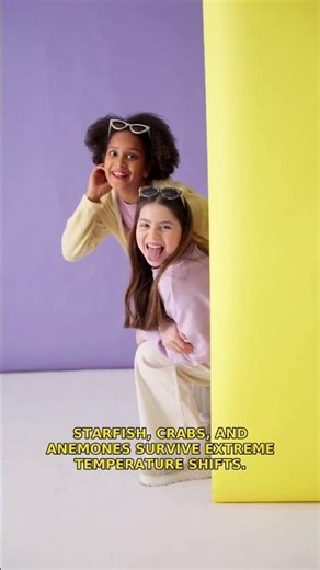 Ever wonder what secrets tide pools hide