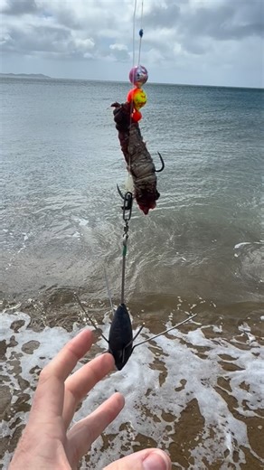 1.2K views | Quick Rig Check ✅ Pink Tiger x Sweet & Sour Snapper Candy’s sitting pretty on a twin hook rig for Kenny  | Snapper Candy’s | Facebook