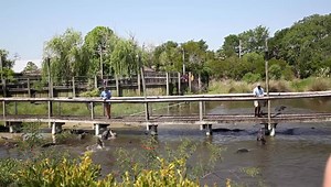 Alligators, Crocodiles, Snakes ... and more! Make sure to check out Alligator Adventure in Myrtle Beach while you’re on vacation! | Visiting Myrtle Beach