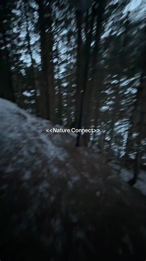 Natura Connection #gym #nature #outdoor #run