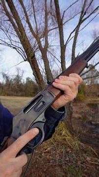 Henry Color Case Hardened 30-30