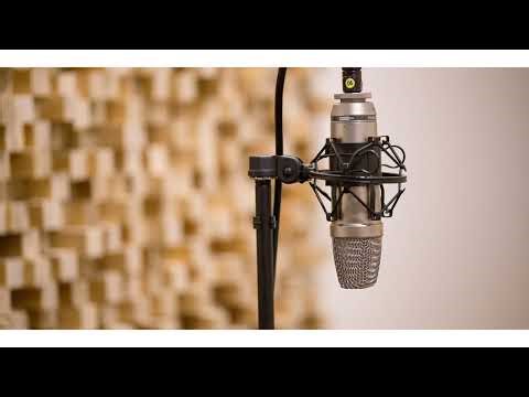 Oliver Tree - Alien Boy (vocals backing track)