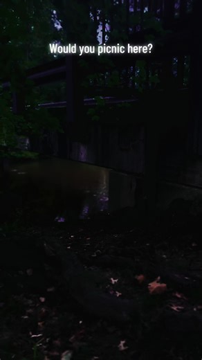 The forest grows colder as the night deepens. Every shadow feels alive, waiting just out of sight. 🌑 #DarkNature #SpookyForest #NightExploration #CreepyWalk #HauntingVibes