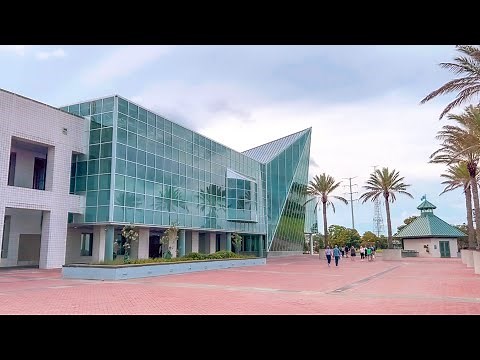 FIRST LOOK at NEW Audubon Aquarium & Insectarium in New Orleans | New Exhibits, Experiences, & More!