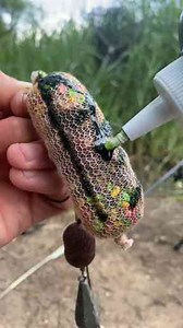 Beginner’s Guide to Fishing – Simple Techniques for Success