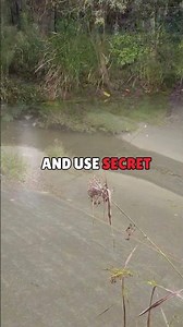 Why Is the Platypus So Hard to Find? #idepintar #animals #why #true #facts #didyouknow #science