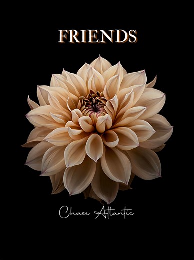 Explore Meaningful Friends Song Lyrics