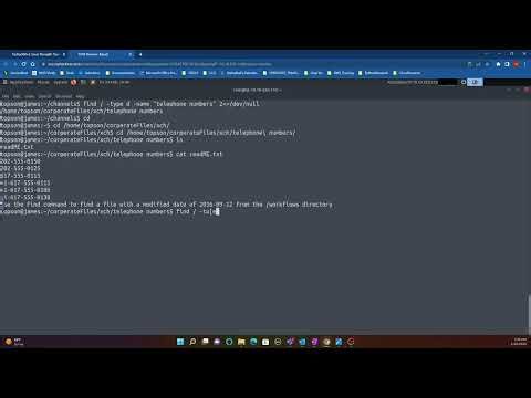 TryHackMe! Linux Strength Training Room for Beginners