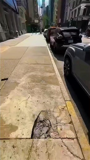 💙#shorts #funshorts #indianringneck #petshorts #birdshorts #followme #cutepets #helloworld