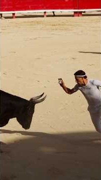 La course camarguaise