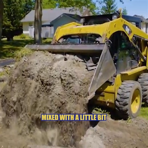 DIY the Lawn of Your Dreams | Lawn Restoration | Home RenoVision DIY