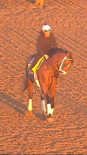 128K views · 3.5K reactions | JOURNALISM is trotting!! The #BC25 Classic contender proudly jogs after schooling at the gate. Breeders' Cup World Championships Eclipse Thoroughbred Partners #horseracing #thoroughbred #jockeys | FanDuel Racing | Facebook