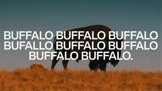 Understanding how the English language became a giant meme