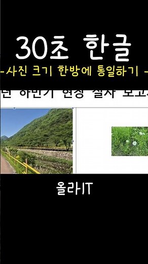 [30s HWP] 29. Stop resizing images manually in HWP and use this keyboard shortcut #shorts