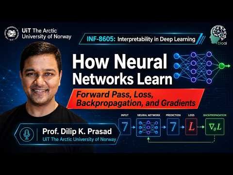 IDL Lect4C How Neural Networks Learn: Forward Pass, Loss, Backpropagation & Gradients
