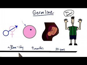 Germline - Tales from the Genome