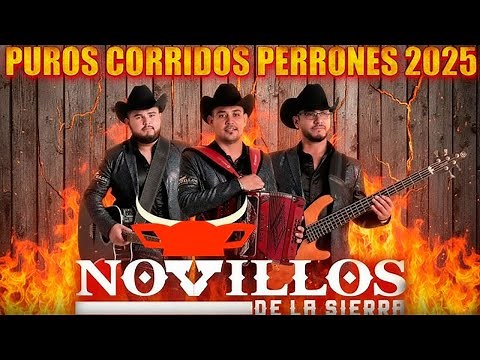 🔥 Novillos de la Sierra – Los Mejores Corridos NUEVOS 2025 | ¡Puro Estilo Pesado! 🎶