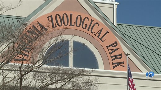 Virginia Zoo kicks off 125th anniversary with Noon Year’s Eve event