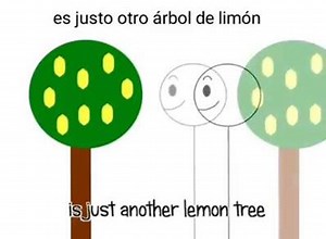 12M views · 162K reactions | Lemon Tree - Fools Garden - NIHIL | World | Facebook