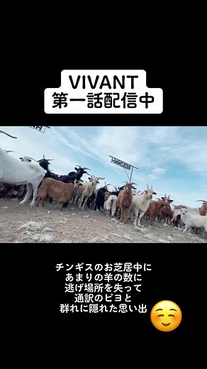 VIVANT: ダイバー特別捜査班 1話 | あと3日で第二話！