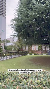 Relax at a university in Japan #japan_daytime_view #lifeinjapan #tokyo #japantravel #university #discoverjapan #tokyotokyo #japantrip #explorejapan #tokyo #unilife #rikkyo #IKEBUKURO | Tokyo pearl