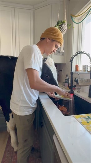 10M views · 11K reactions | Spring cleaning with Bruce! #cow #brucethecow #farm #animals | Eliasfilmz | Facebook