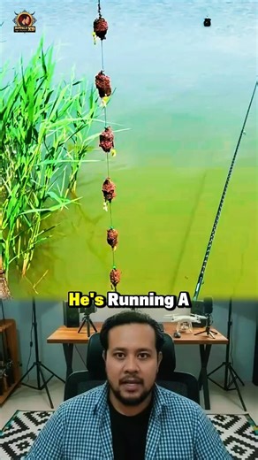 6 Hook Carp Rig Gets Crazy Results at the Lake #carpfishing