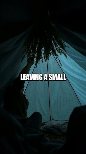 Micro Shelter Mastery: Quick Pine Bough Refuge in a Sudden Storm
