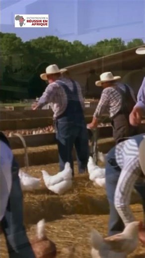 A production process that can last several months #livestock