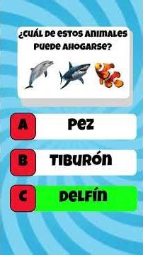 Quiz de cultura general 🤓 #quiz #quizchallenge #generalknowledge #unitedstates #intelligent