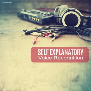 Voice Recognition - Self Explanatory: Song Lyrics, Music Videos & Concerts