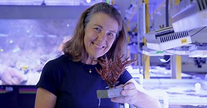 Museum of Underwater Art