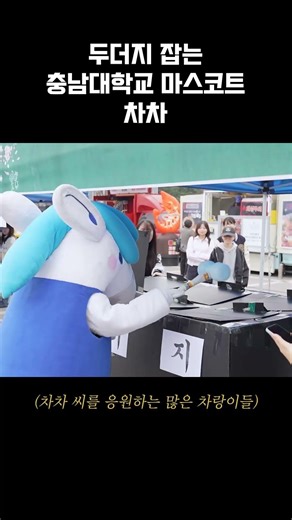 [Cha Cha Theater] Enjoying the Chungnam National University Cherry Blossom Festival with Cha Cha