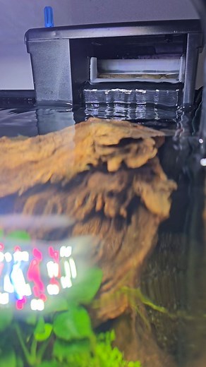 The Tidal 35 Filter from @seachem_laboratories. Perfect for nano planted aquariums and great for bettas with the gentle flow, which is also adjustable. Comes with the awesome Matrix bio media, too💚💙 #tidal35 #seachemlaboratories #hobfilter #aquariumfilter #powerfilter #seachembrandambassador | Geordie Scaper | AQUASCAPING 🇬🇧