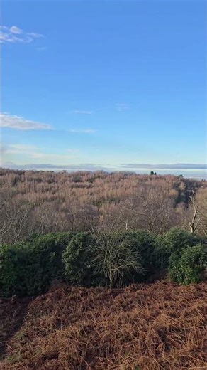 Check out Cheshire's Iron Age hillforts! ⛰️🛡️ #history #archaeology #cheshire #fyp