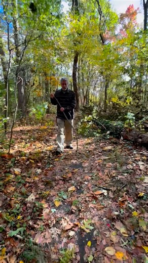 After a storm use the flick stick method to help clear the trails. Hike the trail with a stick and flick the sticks off the trail. This method saves your back because you don’t have to bend down. Try it out next time there’s a storm and help us keep our trails in great shape. Thanks! | CLIMB