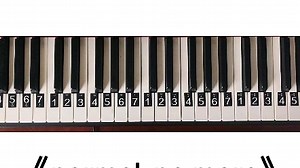 《normal no more》钢琴简谱教程