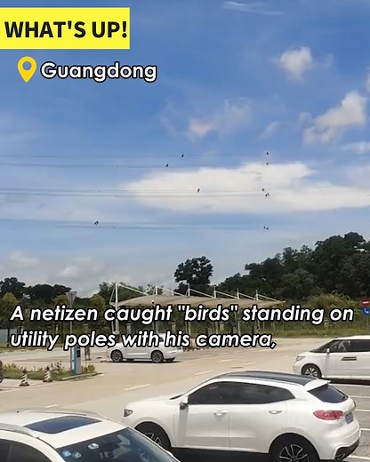 6.4K views · 26 reactions | Zoom in to feel the shock. #Whatsup | Trending in China | Facebook