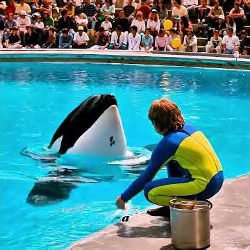 My only friend is a whale #shorts #movie #film