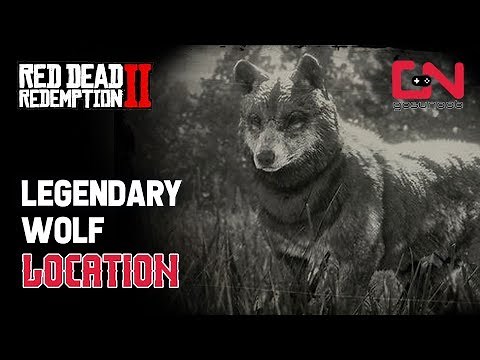 Red Dead Redemption 2 - Legendary Wolf Location