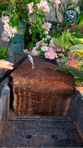 Cocopeat👍😊 Best unique items Wishlink #cocopeat #plantgrowth #grading #trendingnow #trendingreel #homedecor | Best unique items