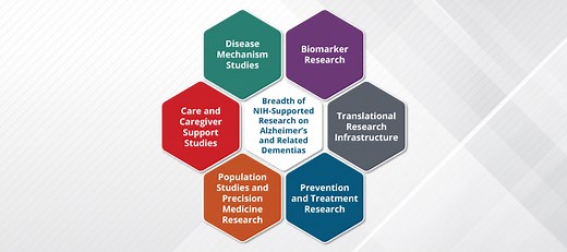 Research on Alzheimer’s Disease and Related Dementias  | Alzheimers.gov