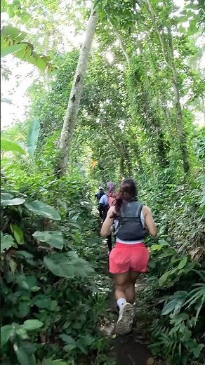 Jungle Trail Running | Bali 🇮🇩 | POV