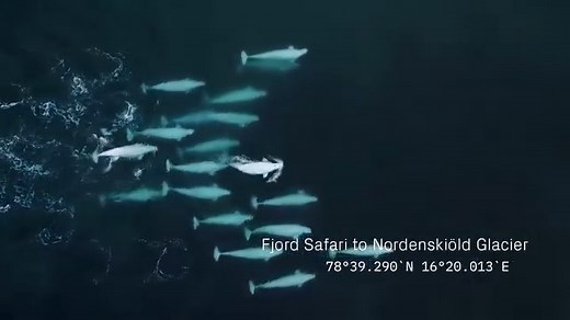 2.5K views · 57 reactions | Want to know more about Norway (Nature, places, travel ......) follow us | Norway: Blessed with Nature | Facebook