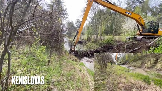 Draining Beaver Dam In The Forest. #ExcavatorWork #MachinesVsNature #WildlifeControl #ConstructionLife #BeaverDam #ViralVideo #DamRemoval #ExcavatorInAction #LongReachExcavator #HeavyMachinery | Kenislovas