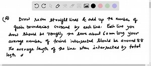 For the microstructure below (low-carbon steel similar to that in Figure 4.17, also at 100x), calculate the grain size number. FIGURE CAN'T COPY. | Numerade