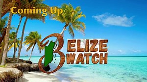 8.6K views · 52 reactions | Belize Watch | Tuesday November 25, 2025 | Love FM Belize - News and Music Power | Facebook