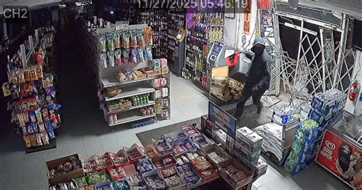 Security video shows break-in, police pursuit in Livonia